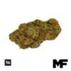 1G Everglazed Flower