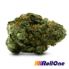 I-10 Flower