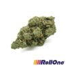 Gass Mask Flower