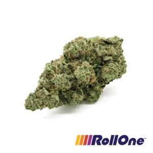 Gass Mask Flower