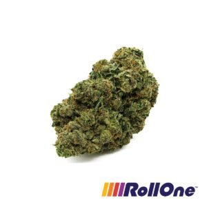 Sunset Sherbet x Kush Mints Flower
